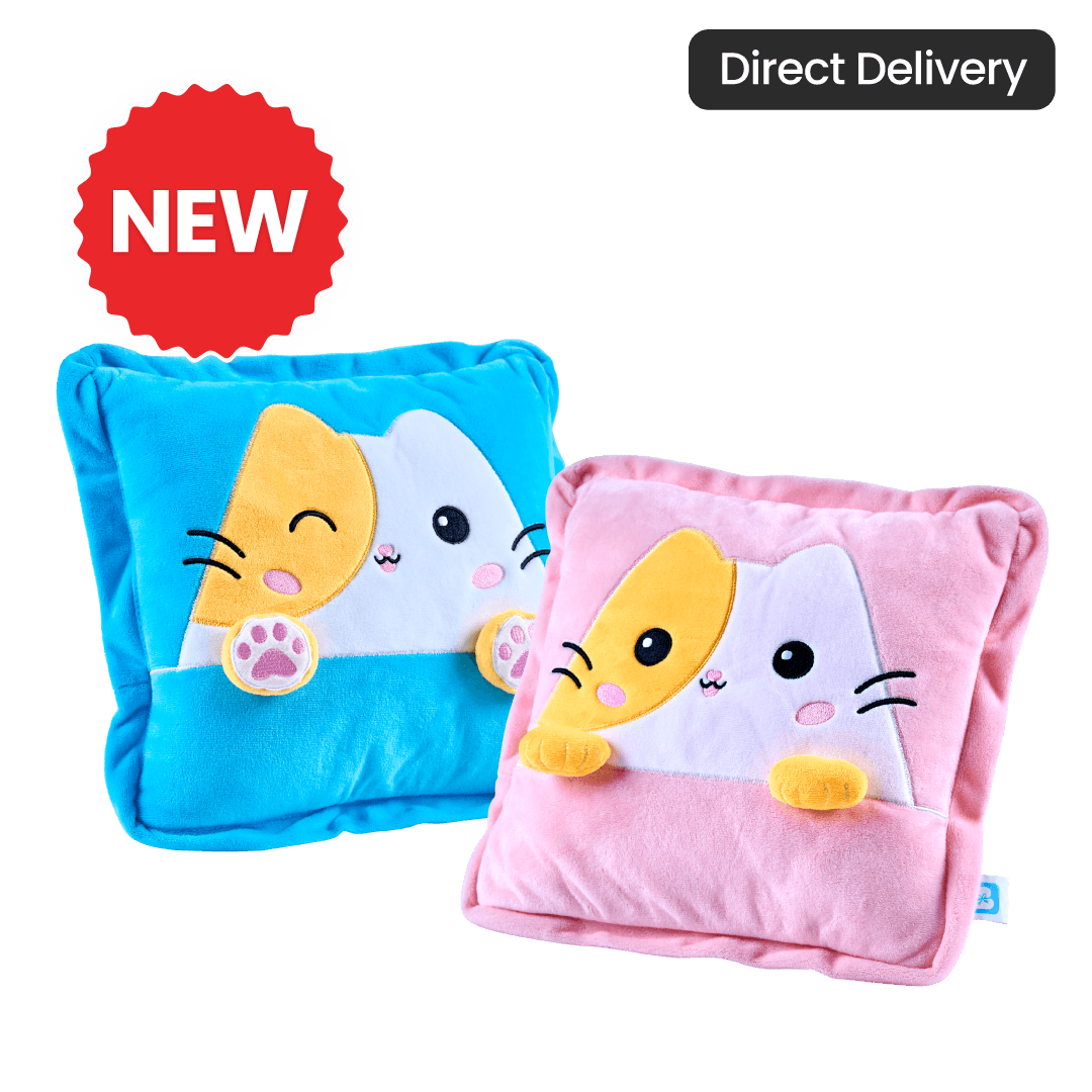 Blinkie Pillow with Blanket